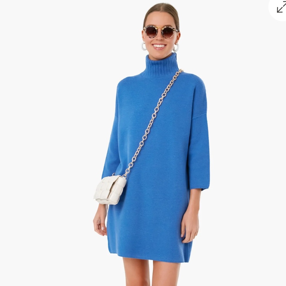 NWOT - Never Worn Tuckernuck Sweater Dress